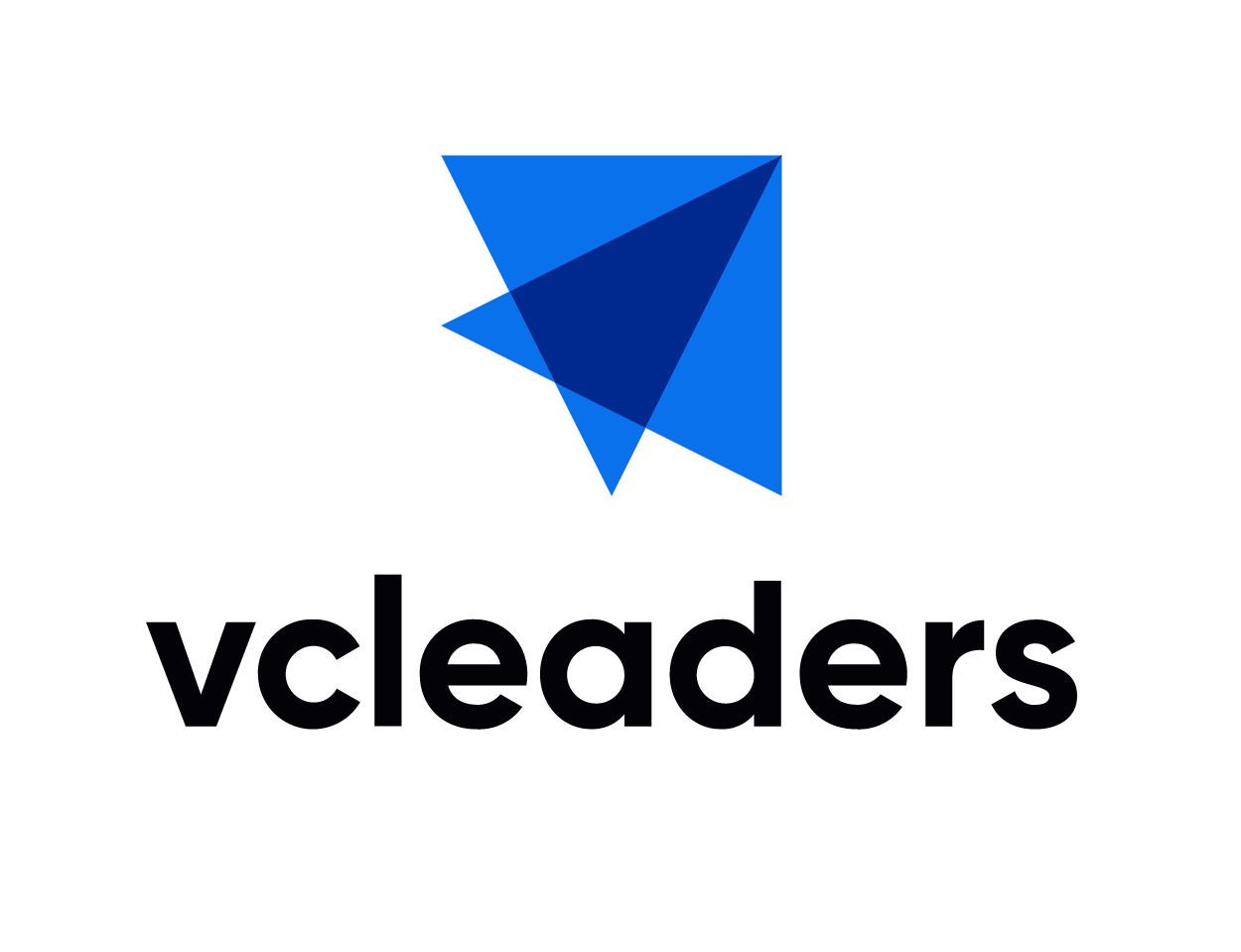 VC Leaders logo